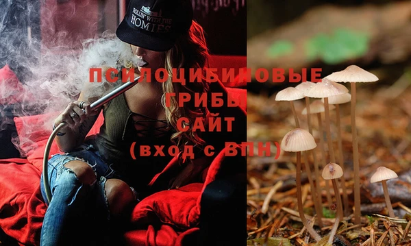 мет Кукмор